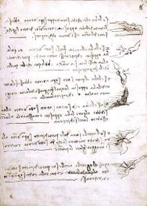 By Da Vinci, Leonardo - Sketches about birds