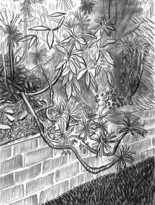 By Hockney - Sketch on plants