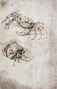 By Da Vinci - Two crabs