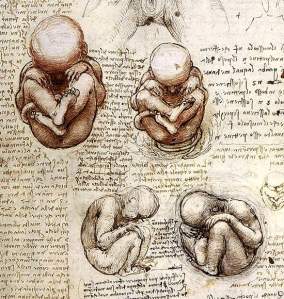 By Da Vinci - Fetus of the 9th month