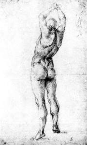 By Signorelli - Study of the backside of a man