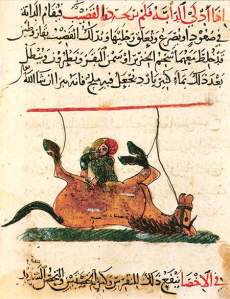 By unknown ottoman artist of manuscripts - An arab horse being used for medicinal purposes