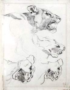 By Delacroix - Sketches of roaring felines