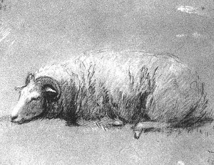 By Gainsborough, Thomas - Study of a sheep