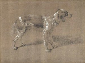 By Van de Velde, Adriaen - A furry dog seen on profile