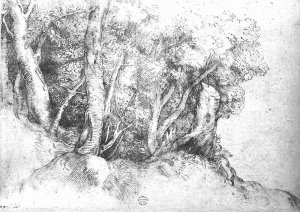 By Titian - Study of a grove after Giorgione
