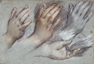 By Barocci - Studies of hands