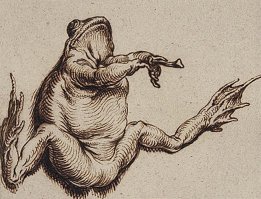 By De Gheyn, the Younger, Jacques - A toad