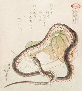 By Hokkei, Tokiyuki - The snake and the gourds
