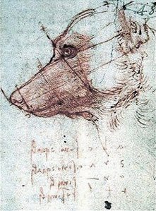 By Da Vinci - Study of the head a dog