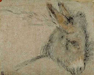 By Bassano, Giacomo - Head of a donkey